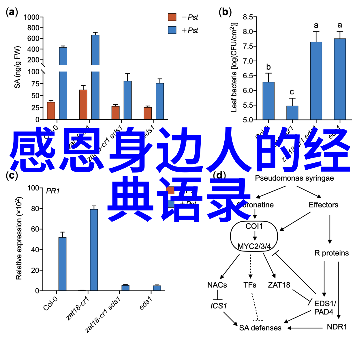 卡夫卡与现代社会通过狂人日记反思现实