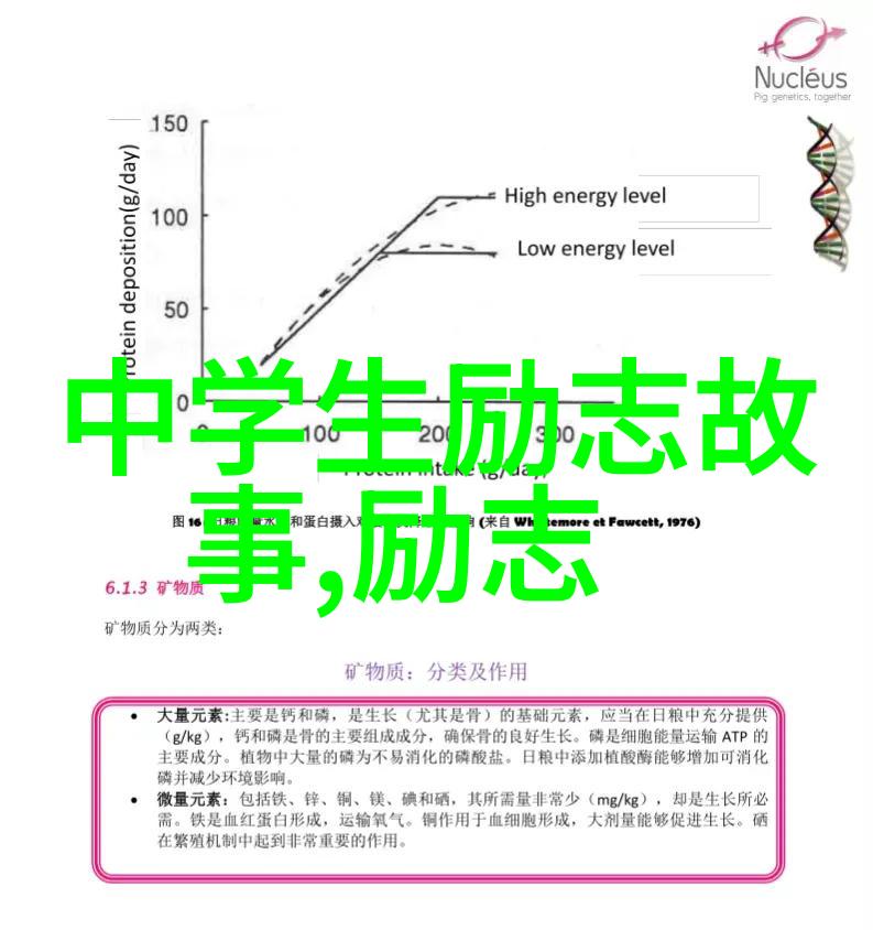 中国伟人传记精选历史巨星的光辉足迹