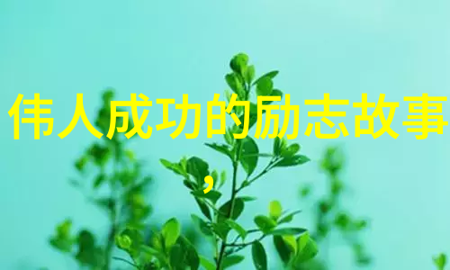 人生奋斗的励志短视频-不懈追梦逆袭故事背后的坚持与激情