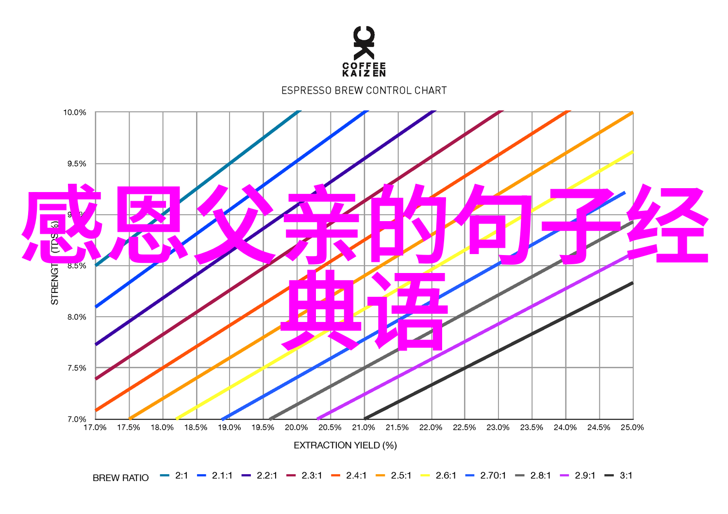 杨绛语录彼此相爱物品中的幸福如此简单又难以捉摸