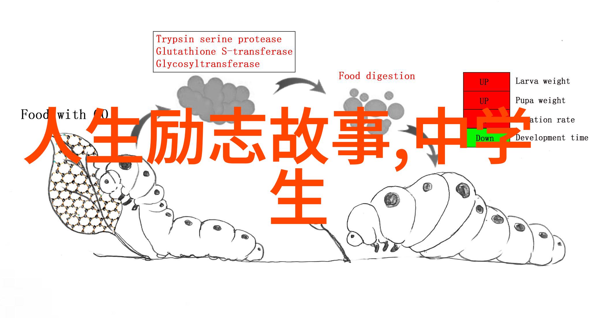 中外名人励志故事简短 - 梦想的火炬跨文化成功者的辉煌足迹