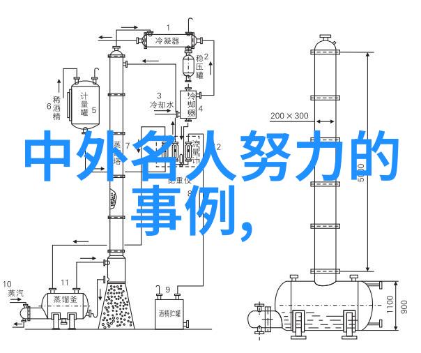 一生只为梦想解析100位追梦者的故事背后