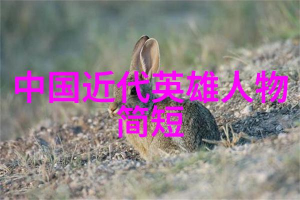 逆袭达人从一无所知到笑傲江湖的奇迹之旅