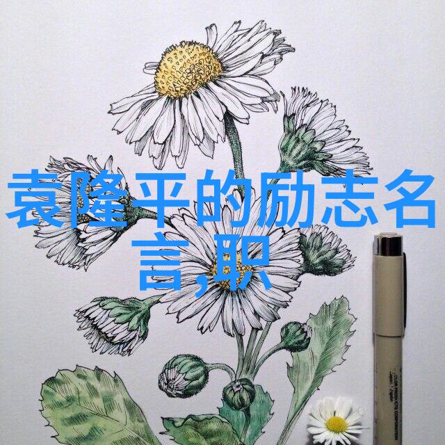 科技与生活-顶撞的速度越来越快视频如何在数字时代保持个人隐私