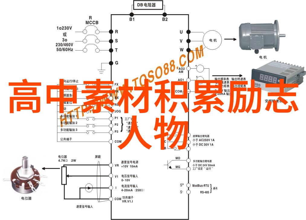 体育界最励志人物研究揭秘运动员精神的源泉与影响力