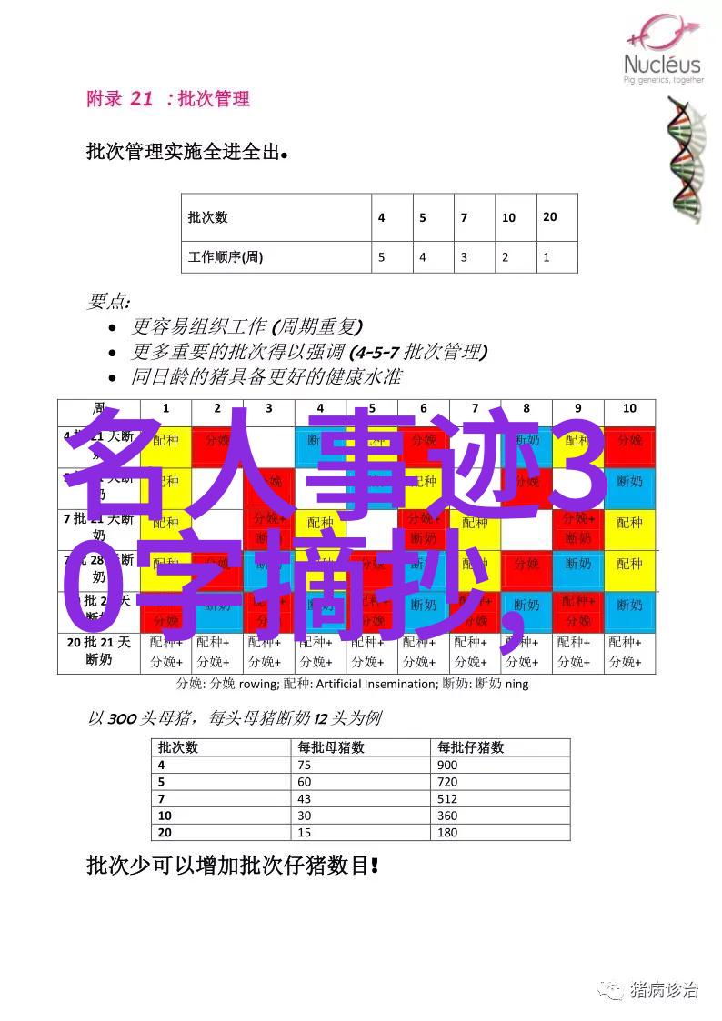 传递正能量的人物事迹光芒下的英雄