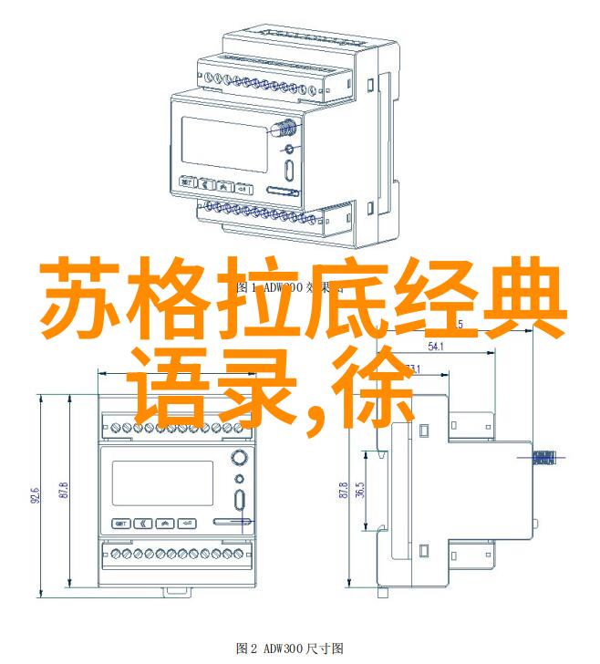 运动健身明星的励志旅程体育名人的成功故事