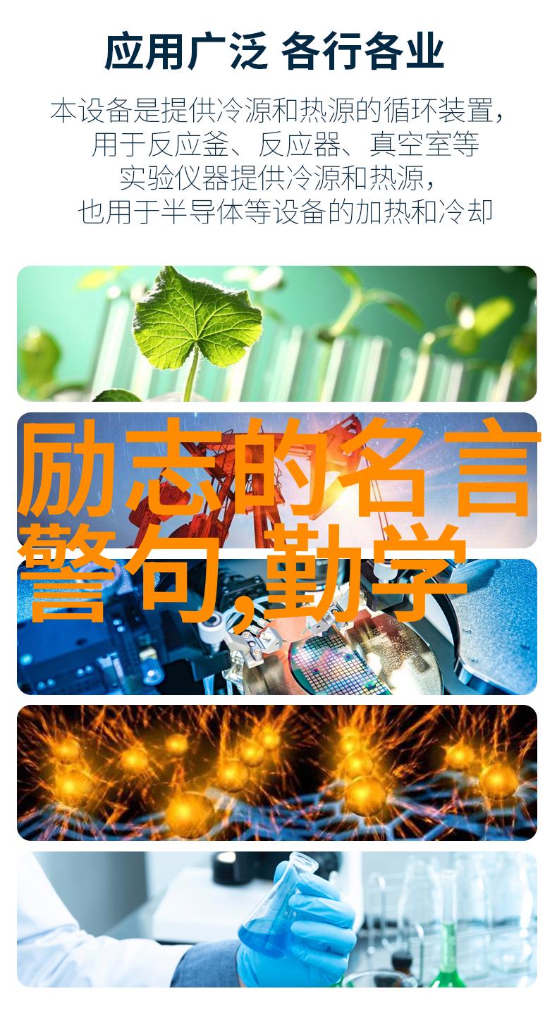 极品公子背后的故事与经典语录