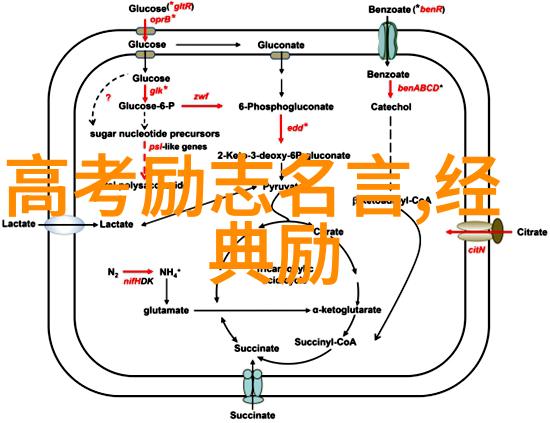 奋斗的故事逆袭之旅从低谷到巅峰的励志传说