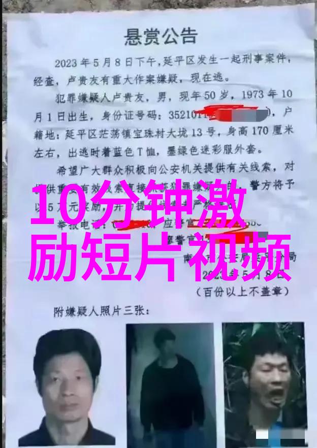 与君共赏揭秘那些被赋予爱情和友情意义的花朵