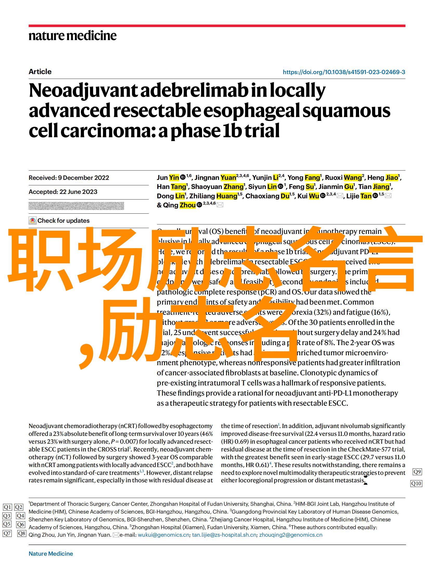 女性的力量一个从零到英雄的励志故事