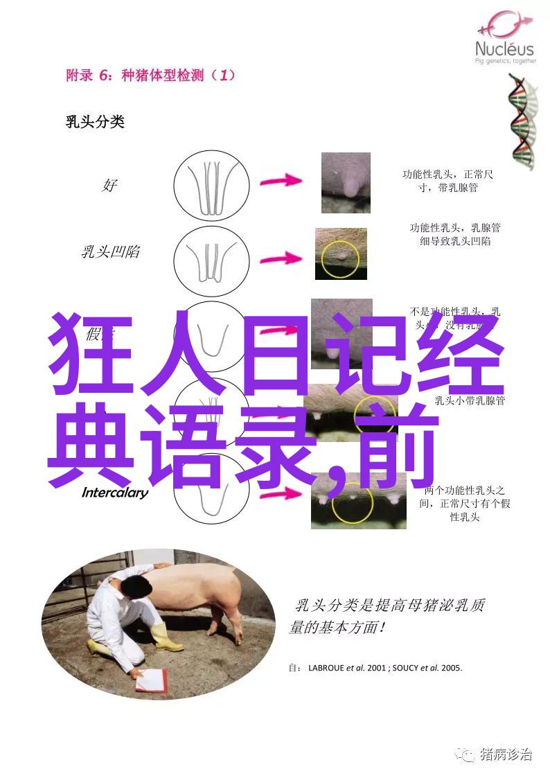 梦想之翼人生旅途的无限飞翔