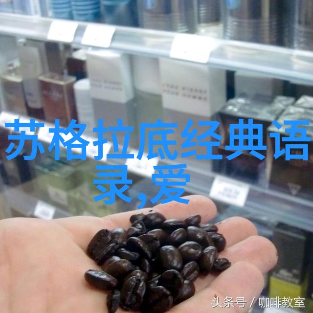 断舍离遗忘与回忆之间的无声对话