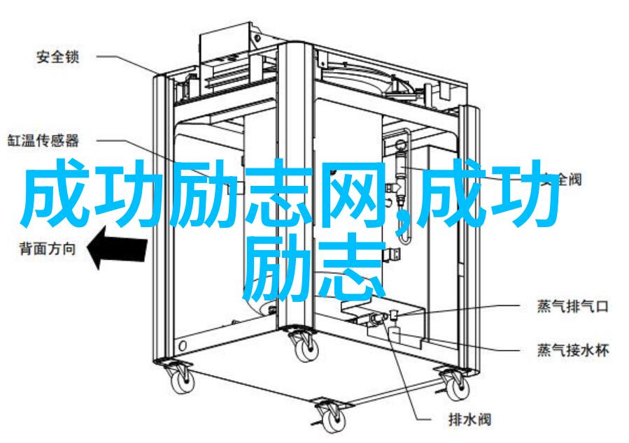 奋斗之星刘强东的逆袭传奇