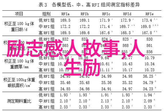 在数字海洋中寻找永恒的爱情港湾论坛首页的秘密入口