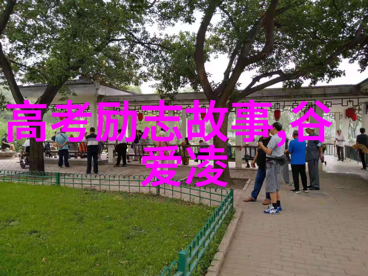 人生励志名言 - 奥普拉温弗瑞的成功之路坚持不懈的追梦者