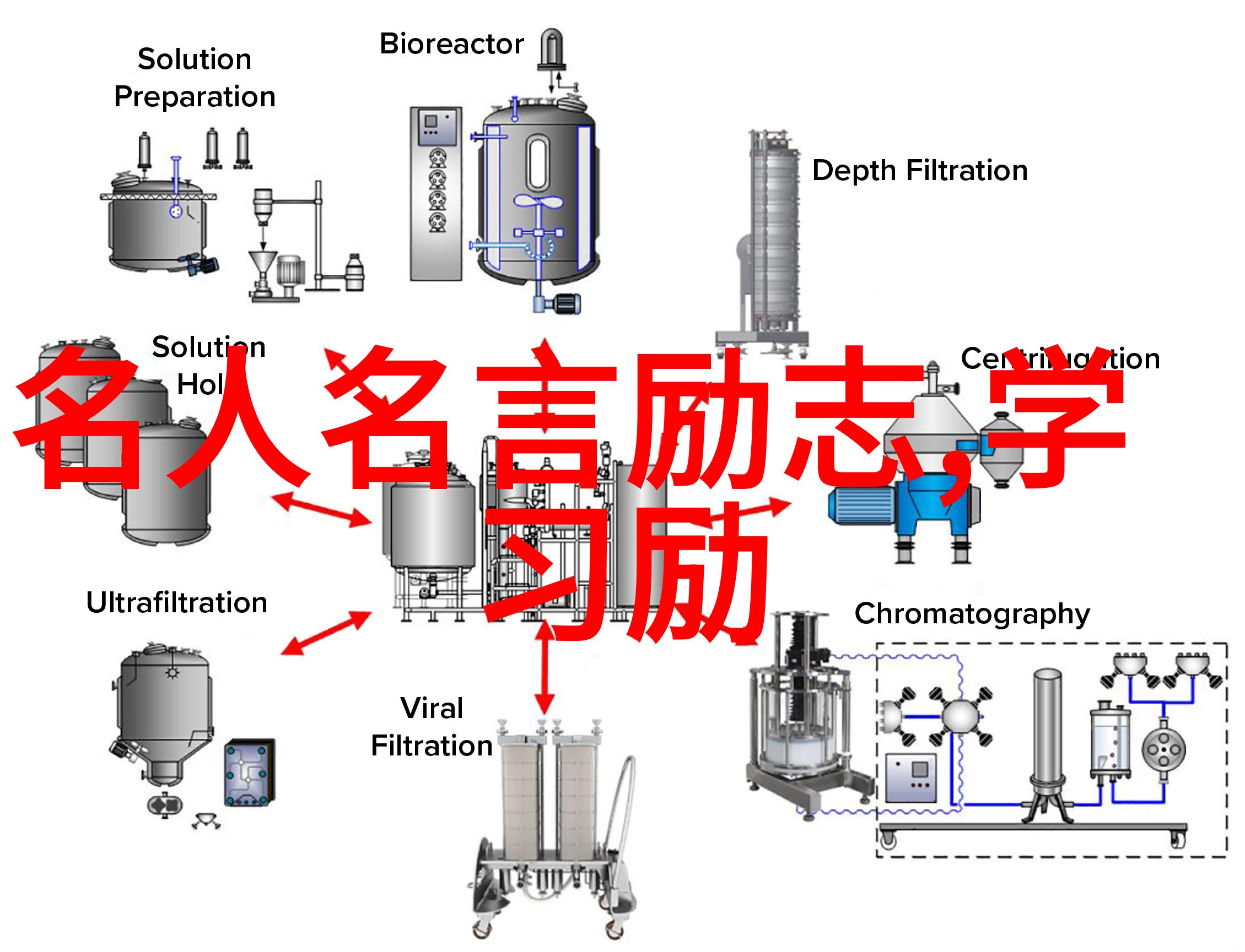 郭敬明语录青春梦与成熟醒