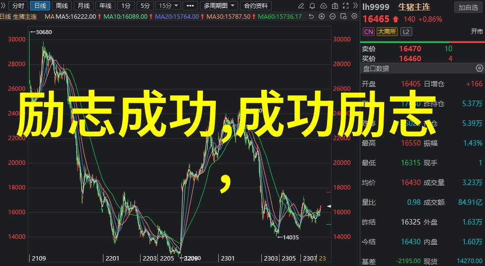 从零到英雄一个勤奋少年的篮球梦之旅