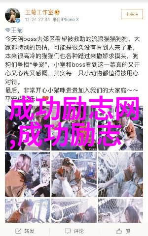 星光点亮梦想偶像激励粉丝的温暖故事