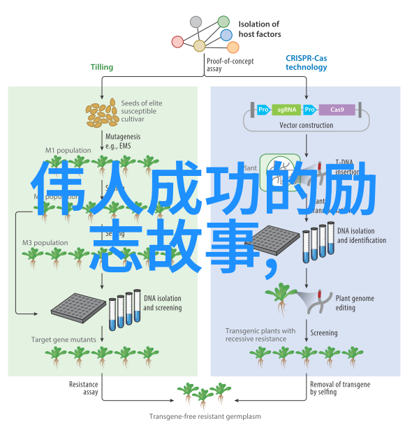 沐卿顾辰顾风小说免费阅读我是怎么无聊就读了全网最火的言情小说