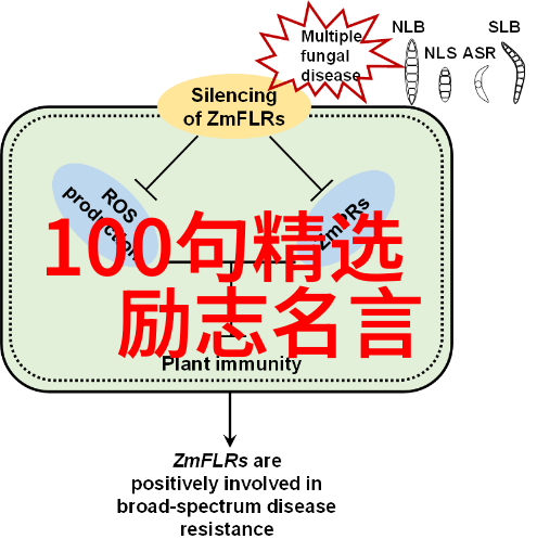 逆袭女孩从零到英雄的不屈拼搏