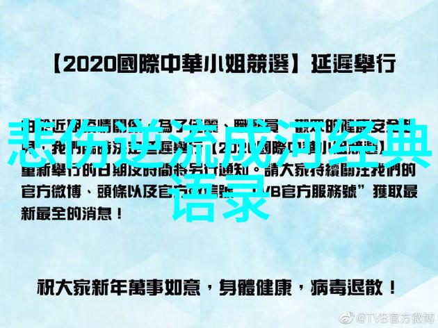 2019年感动中国十大人物素材 - 逆袭的力量张伟来自农村的小学教师