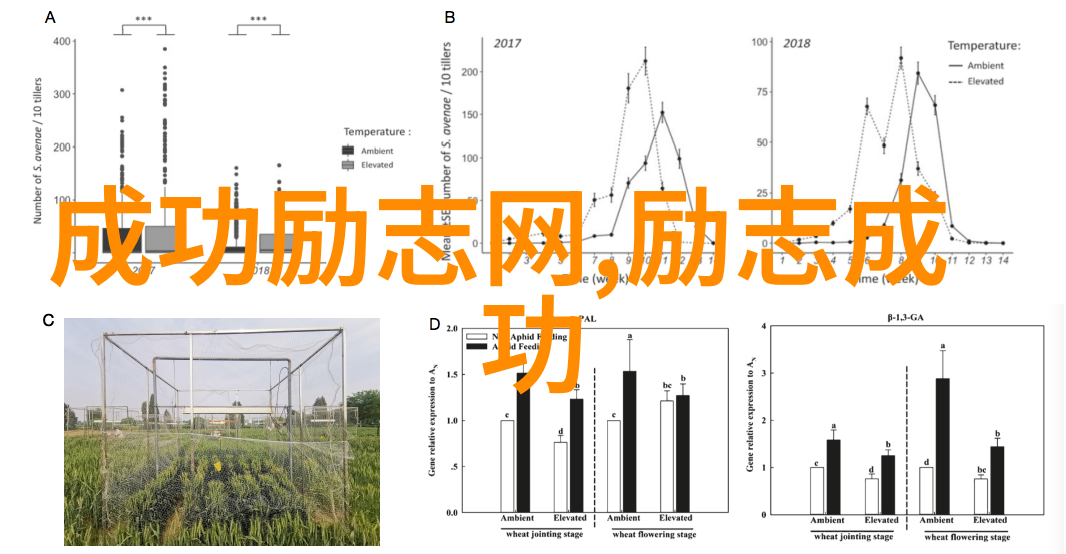 名人名言励志咱们一起跟着这些巨星的鼓舞词走向成功