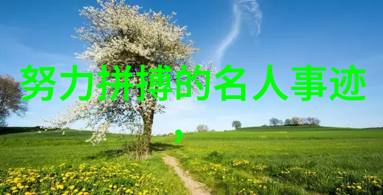 突破常规王芳的创新精神