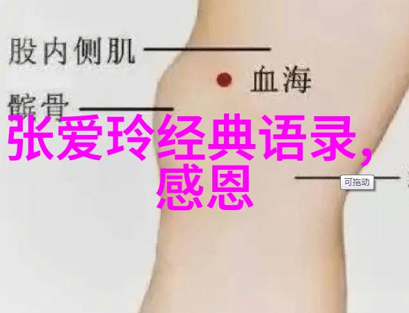 何以笙箫默经典语录在心间绽放的经典我与那些曾经深情的话