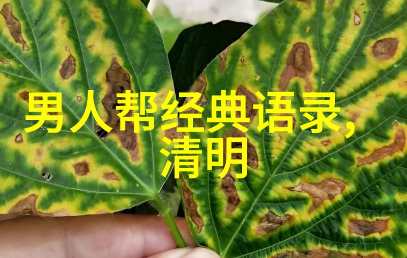 情感的守护者探索正规情感咨询师的角色与重要性