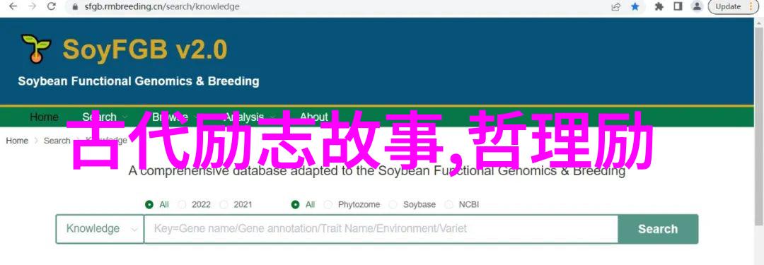 李敖经典语录我爱你的智慧李敖那些让人回味无穷的话语