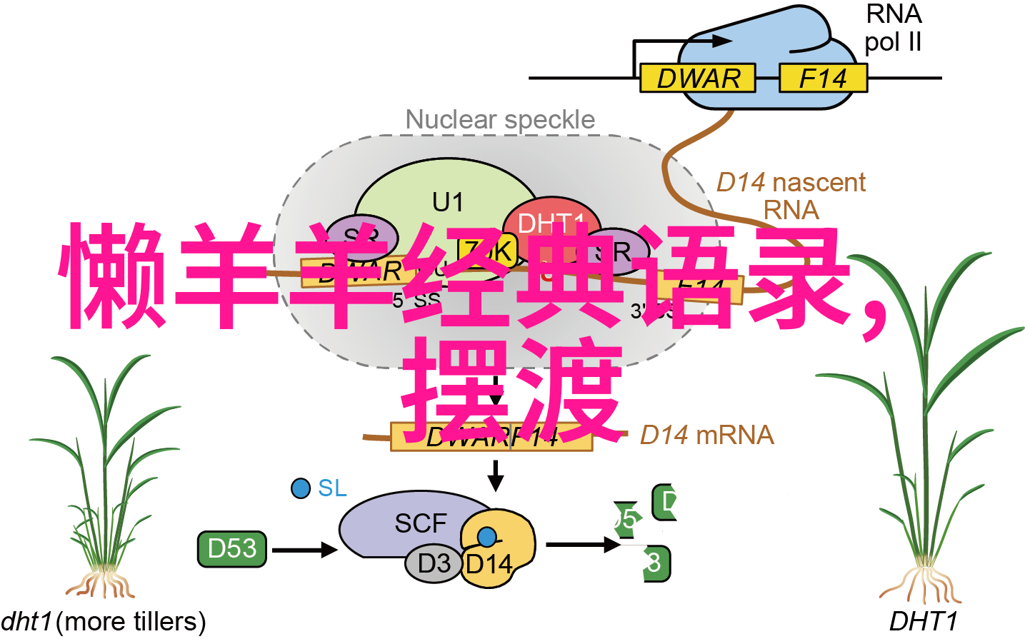 马云经典语录解读洞察当代商业智慧与创新的精神