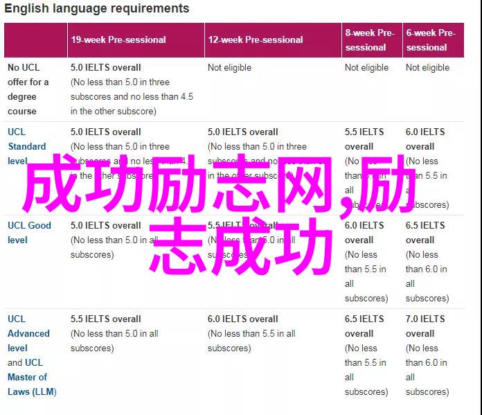 激励心灵的偶像光芒星辰之歌粉丝之梦