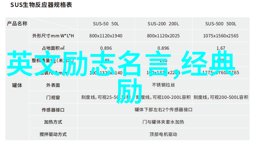 青春不负梦想照耀前行