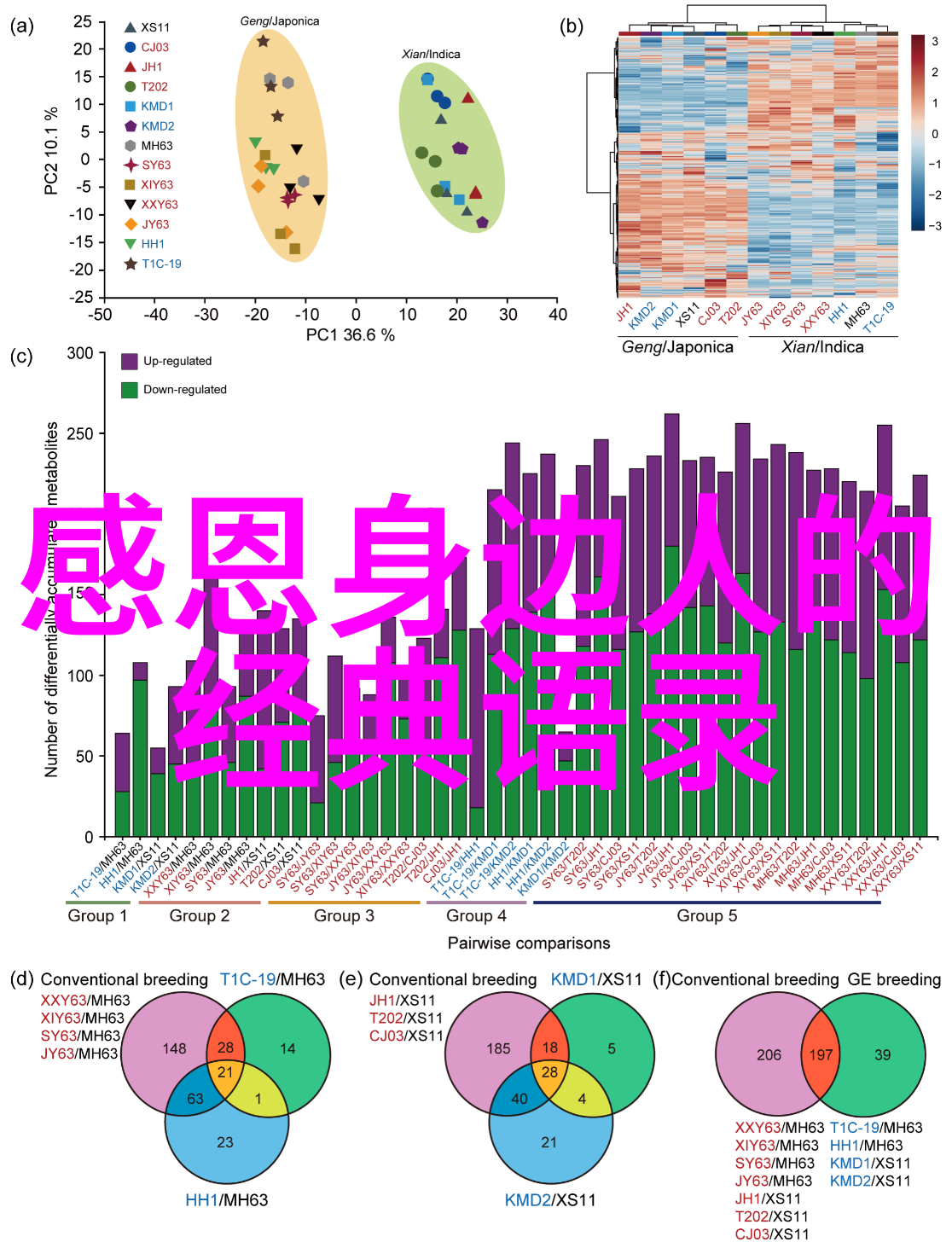 人物素材我的朋友们