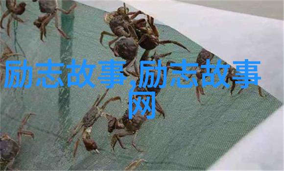 视频总结宝贝是否欠C很久了的探究