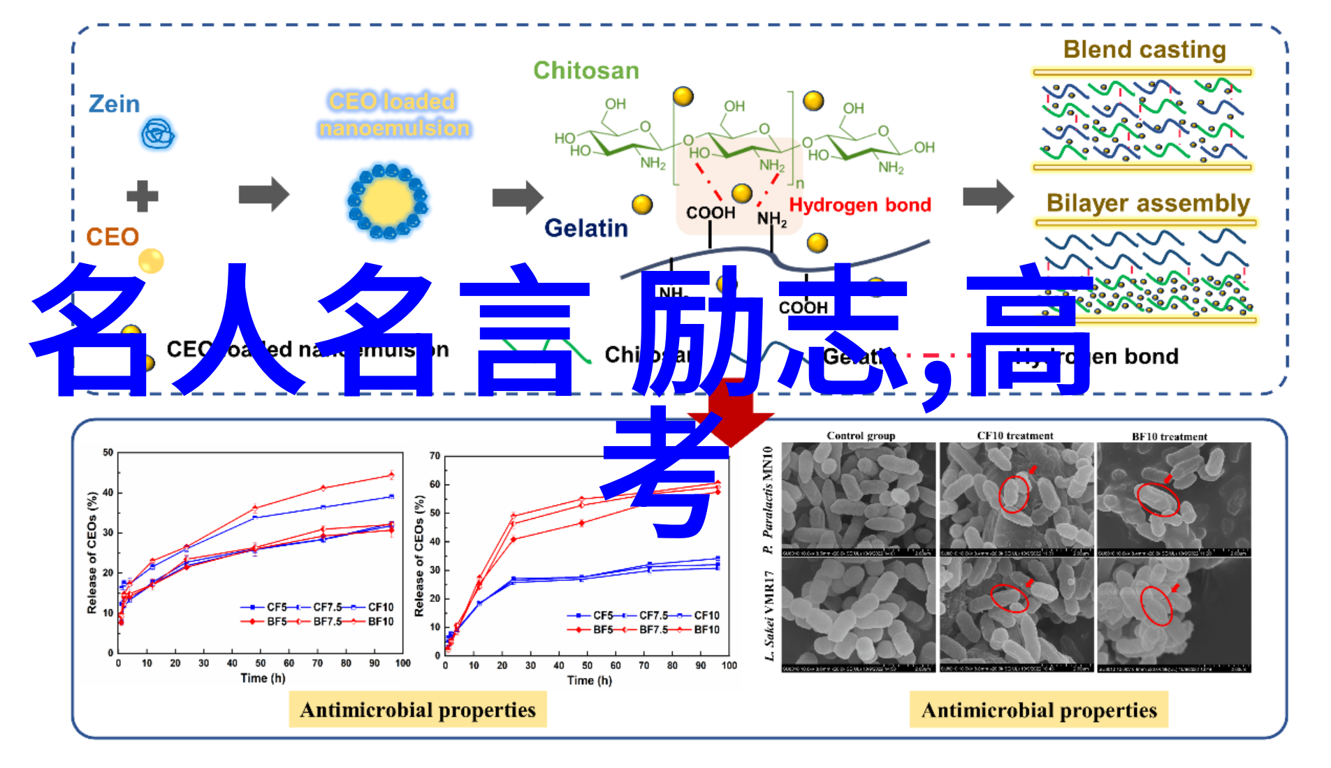 超越自我高三时期的励志故事与名言