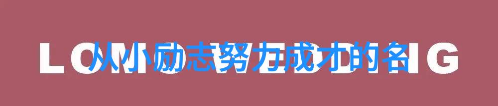 中国古代名人有志气的故事诸葛亮守马岭关