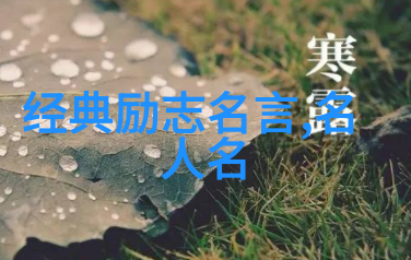 每个人都有改变世界的力量