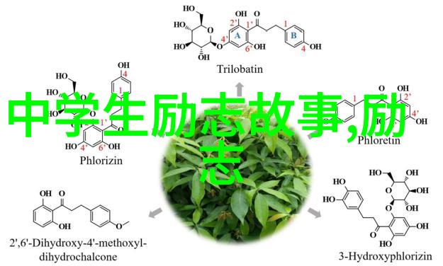 麻豆精品卡密服务全解析