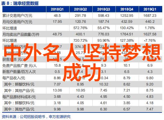 领航者在天空中舞动翁帅豪克航空巨子的成长故事