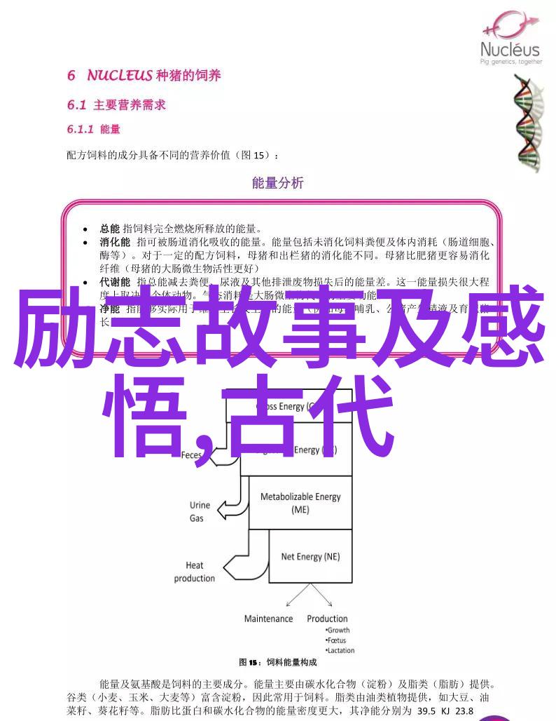 晚安心语佛语经典爱情如繁华落尽坚守是笃定不离不弃