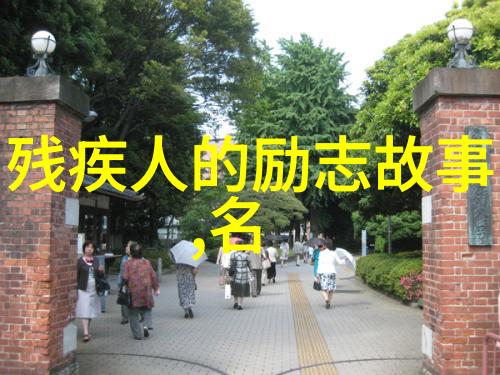 攀登峰顶的勇士不懈追求成功的故事