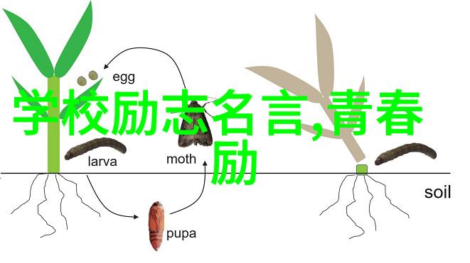 励志故事分享平台成功励志网上的激动人心瞬间