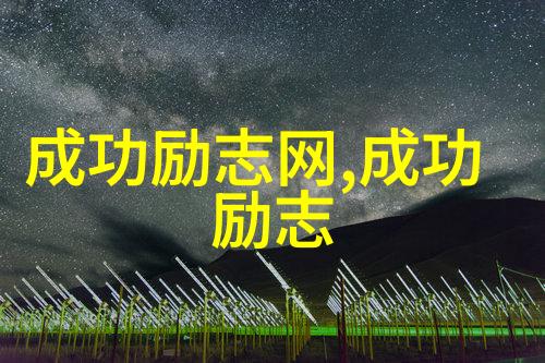 探秘莞式三十六式揭秘武术祖传视频解读