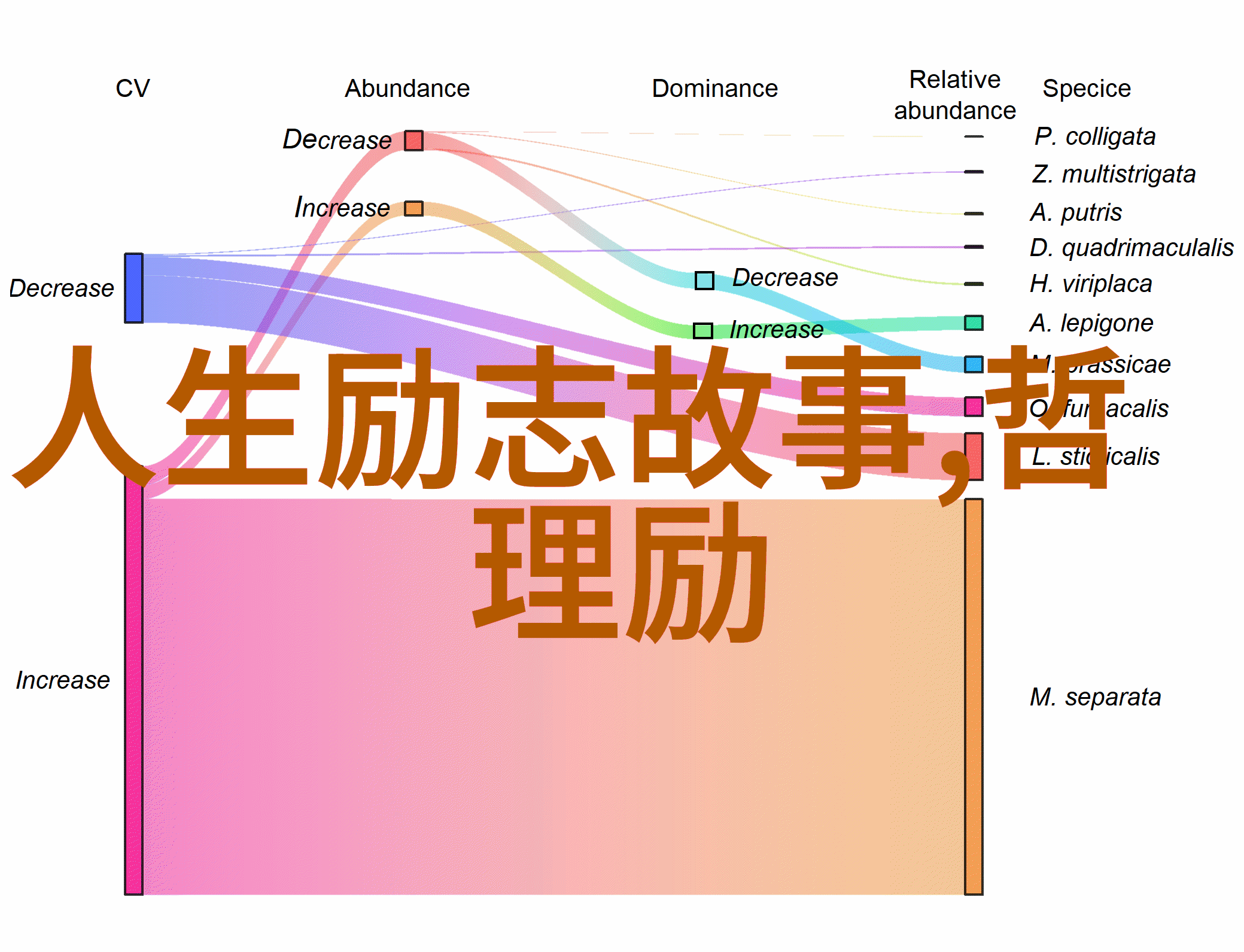 希望在暗夜中闪烁泰坦尼克号生存者们的心灵灯塔