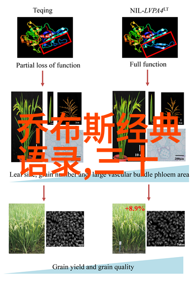 哲理启示心灵的灯塔照亮前行之路