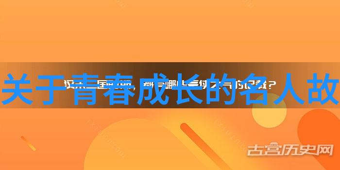 逆袭青春从校园到职场的不懈追梦者