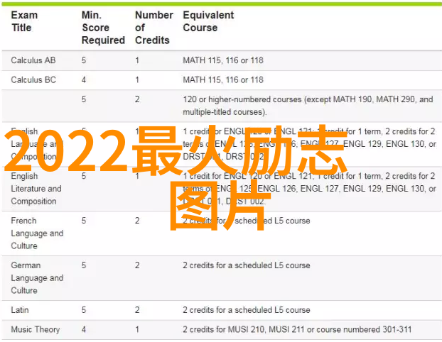 经典励志故事我的成功之旅从一无所有到人生赢家