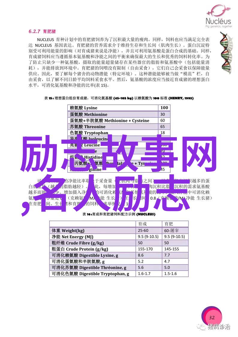 逆袭之路炮灰通房的崛起从普通员工到公司巨擘